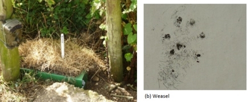 GWCT Life Waders For Real _Ink -tracking Tunnels GWCT Life Waders For Real _Ink -tracking Tunnels