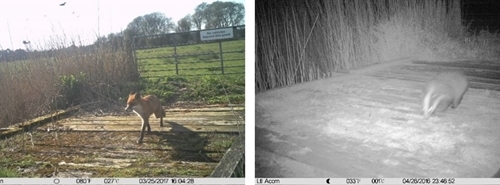 GWCT Life Waders For Real _Camera Traps GWCT Life Waders For Real _Camera Traps