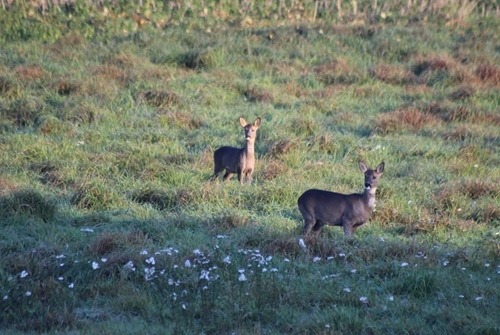 20181031090721_IMG_4643