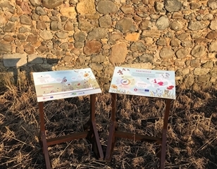 PARTRIDGE Display Boards