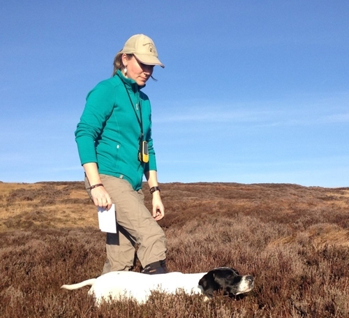 Zola And Me Zola And Me