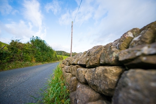 SCF_9551_1008x 672[1]