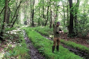 Radio tracking pheasants